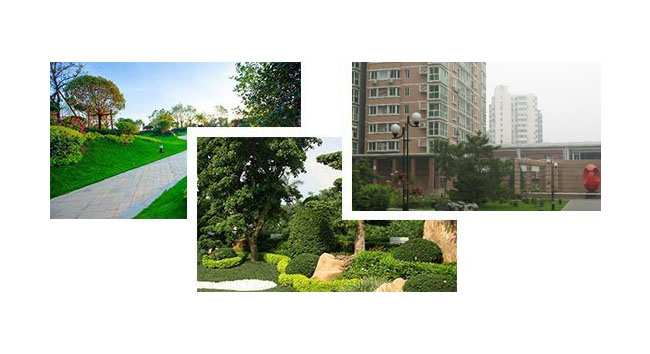 美國云服務(wù)器